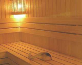 Сауна Сауна, ИП Савченко Н.А. в Туле